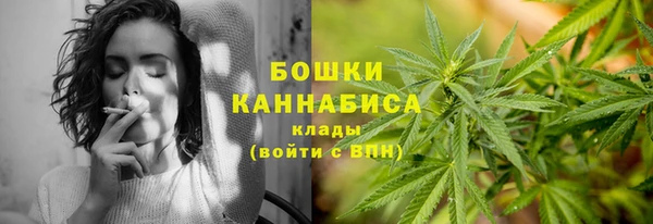 дурь Богданович